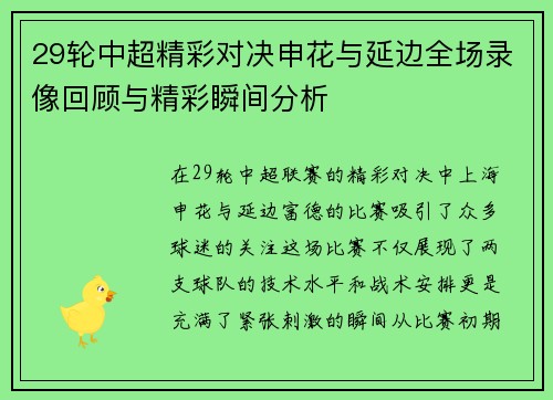 29轮中超精彩对决申花与延边全场录像回顾与精彩瞬间分析